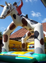 Cowboy Hpfburg mit Pferd in Brehna mieten